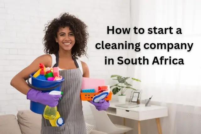 Industry Analysis For Domestic Cleaning Services In South Africa Top Cleaning Companies In South Africa